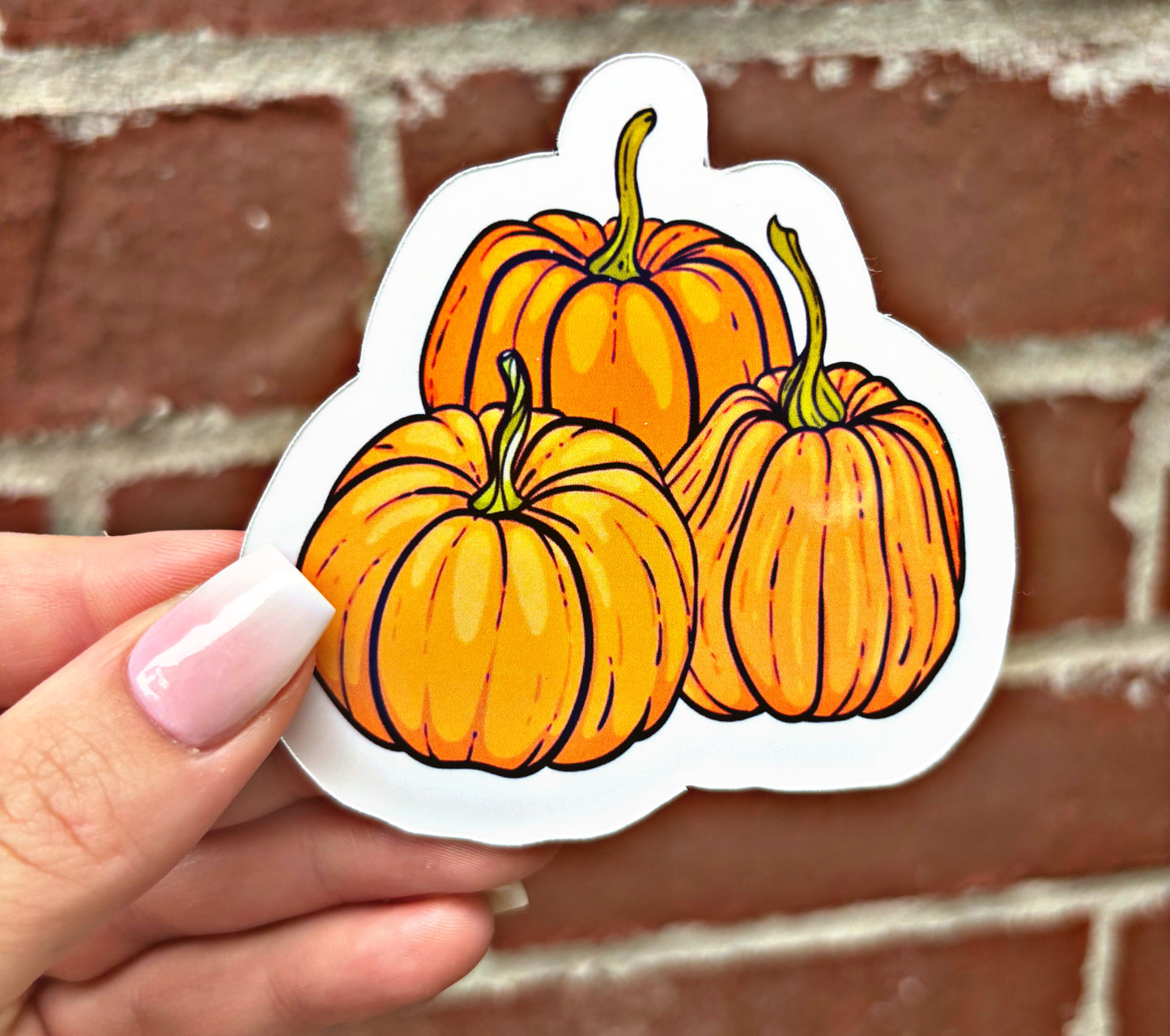 Aimant pour gobelet Citrouilles d'automne