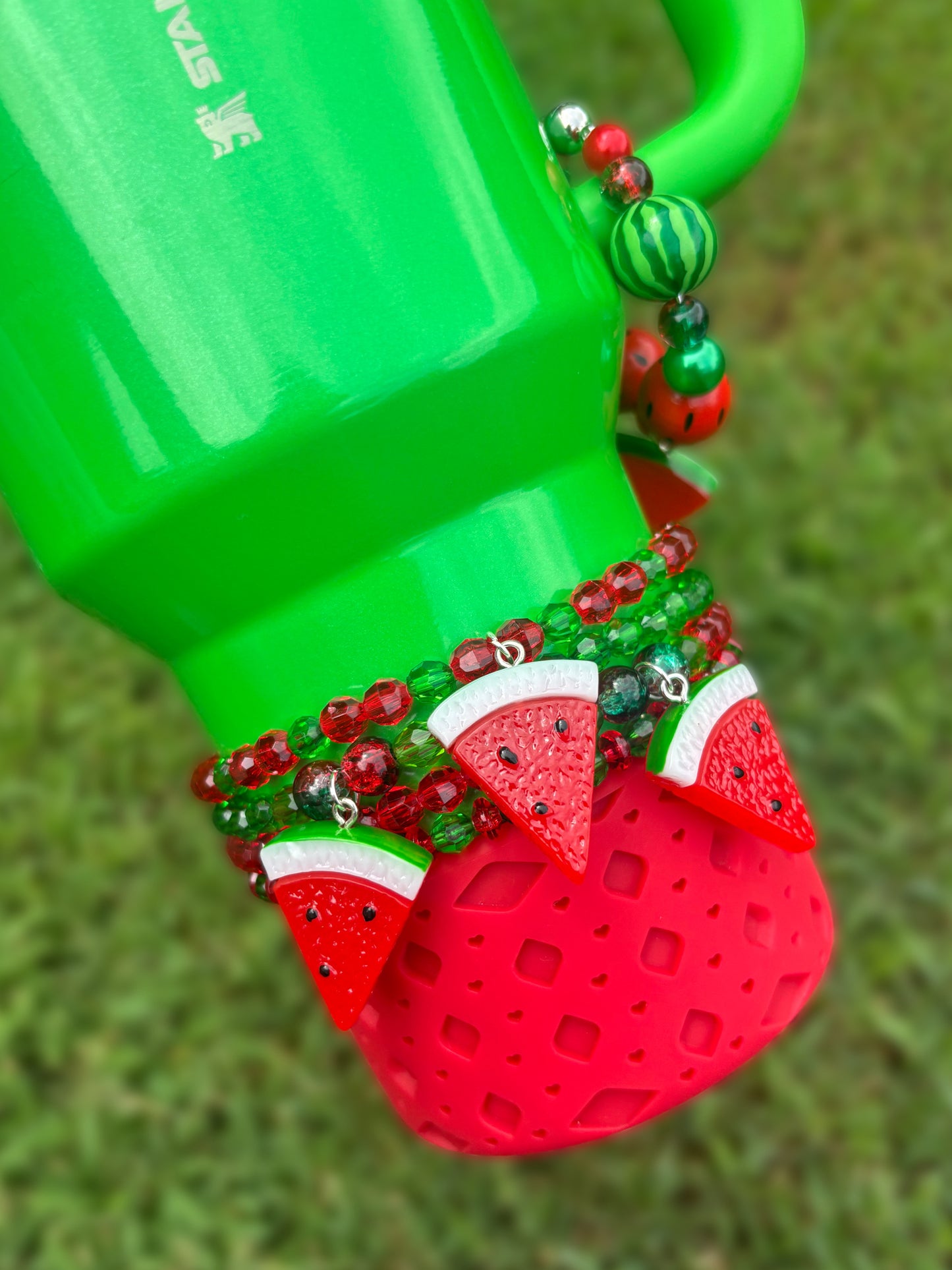 NEW Watermelon Accessories