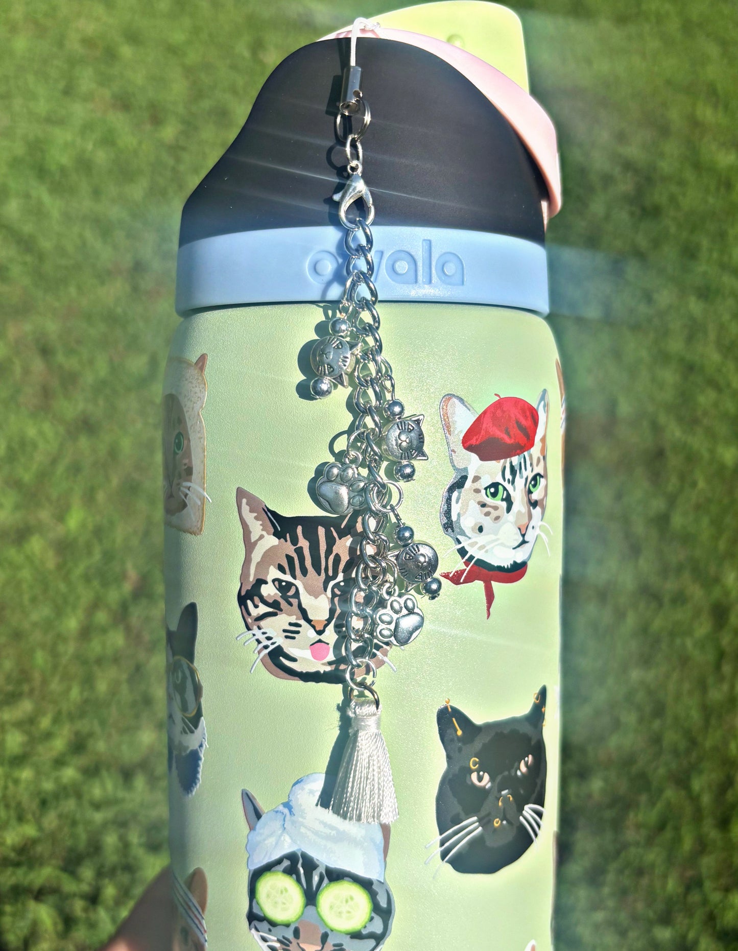 Cat Collage Accessories