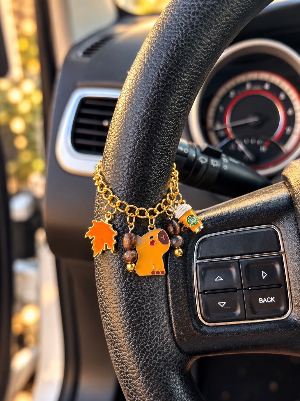 Cozy Capy ~Car Charm AKA Roadies
