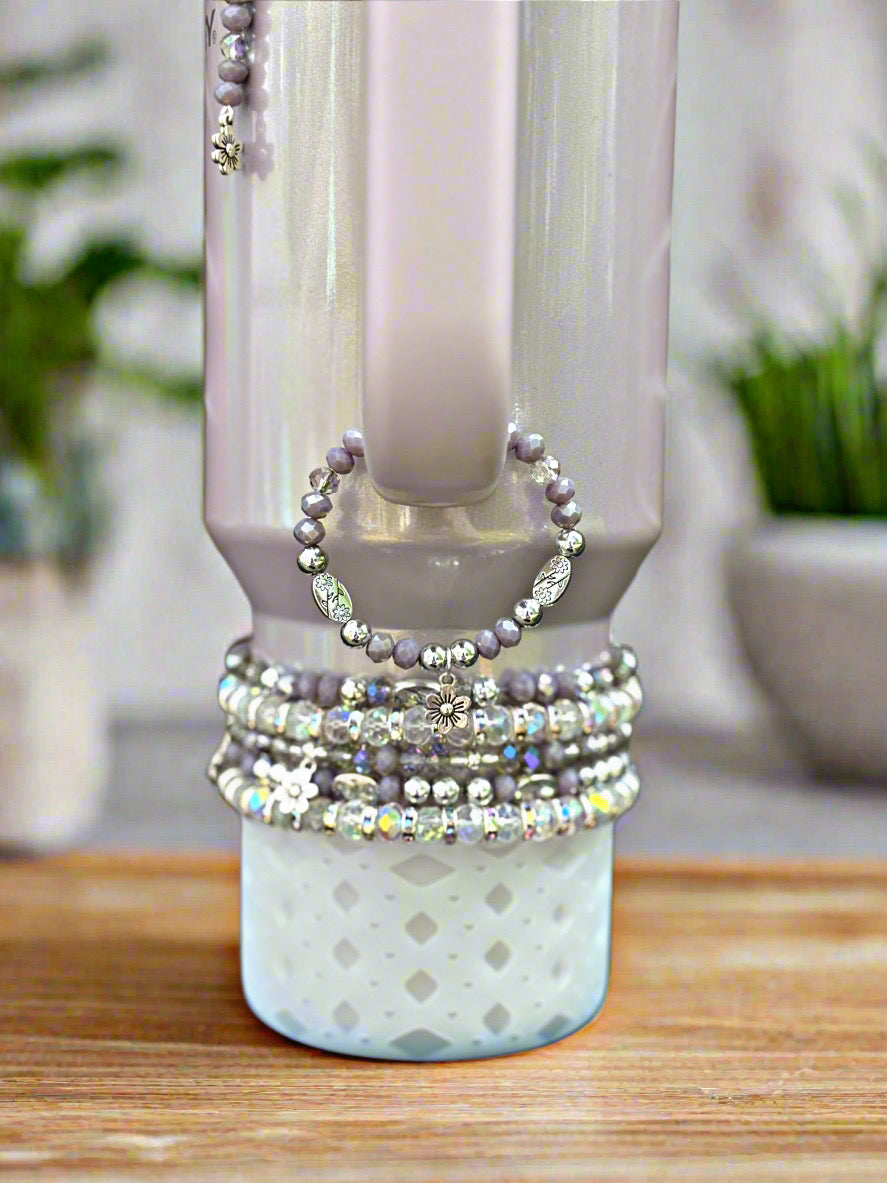 Aster Accessories