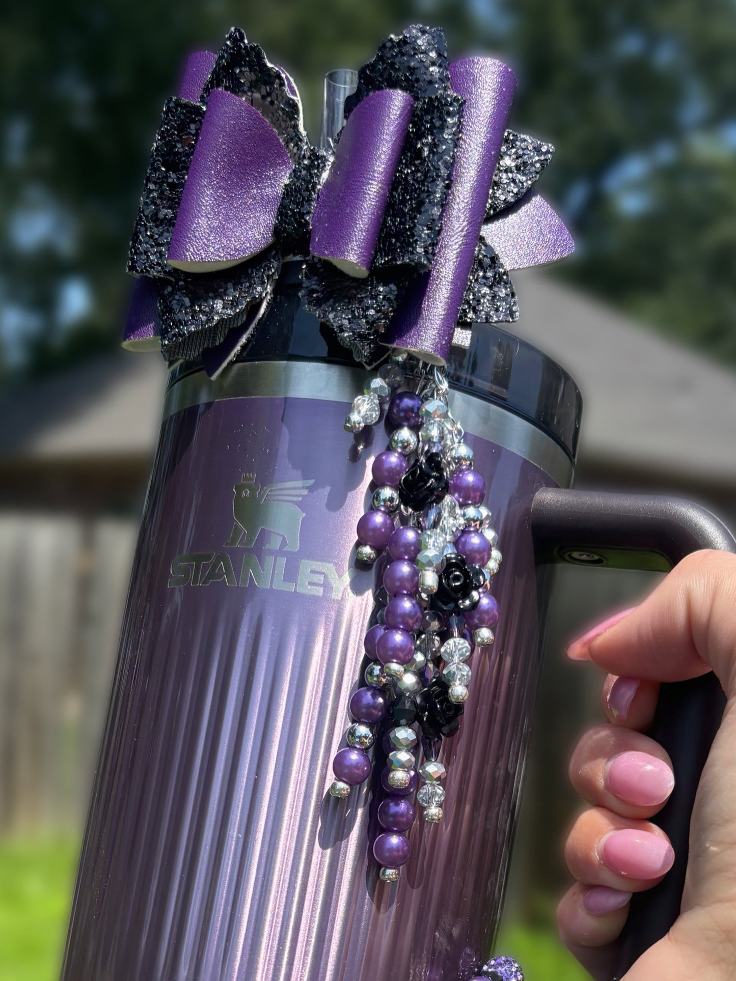 Wisteria Shine Accessories