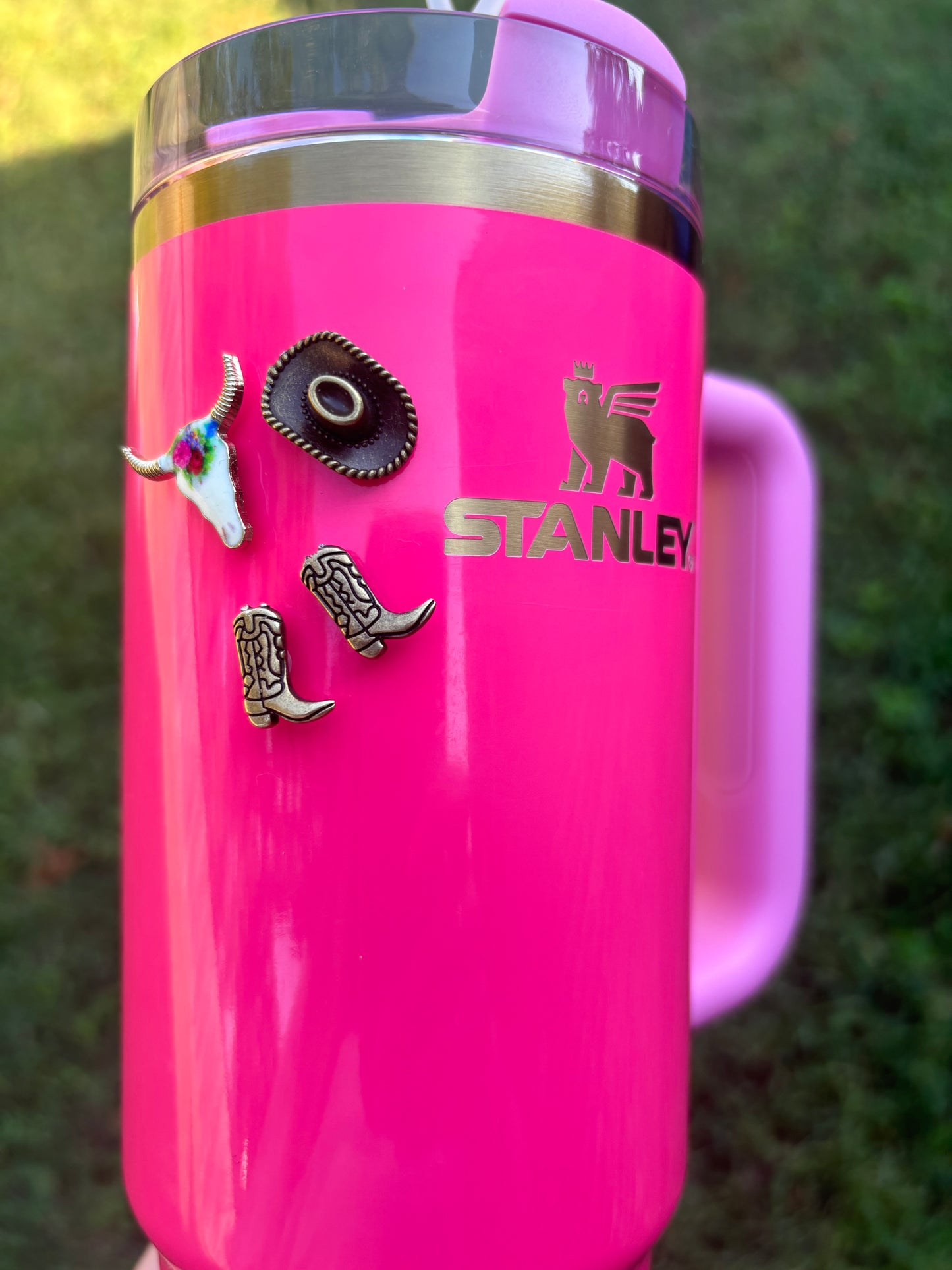 Southern Charm Magnets 4pack