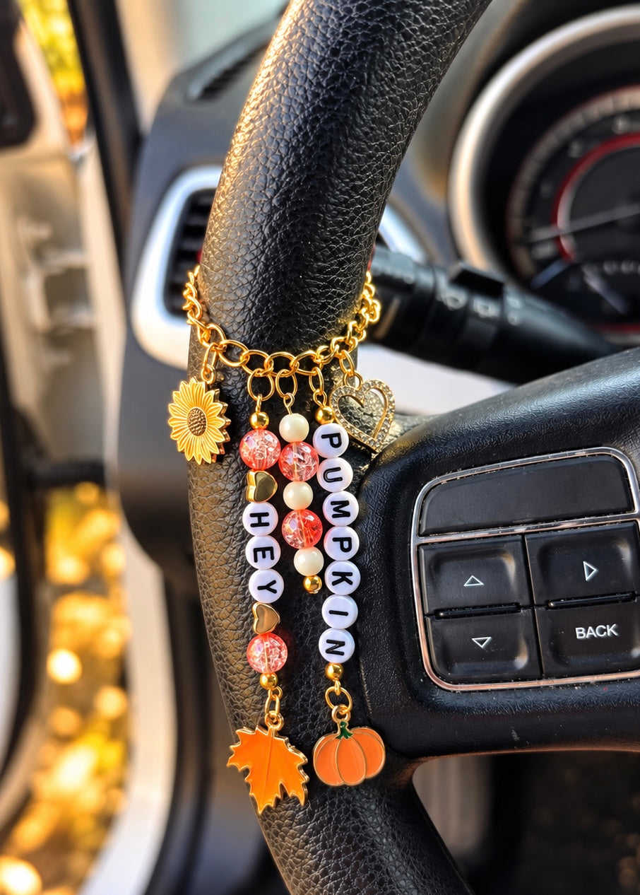 Hey Pumpkin ~Car Charm AKA Roadies