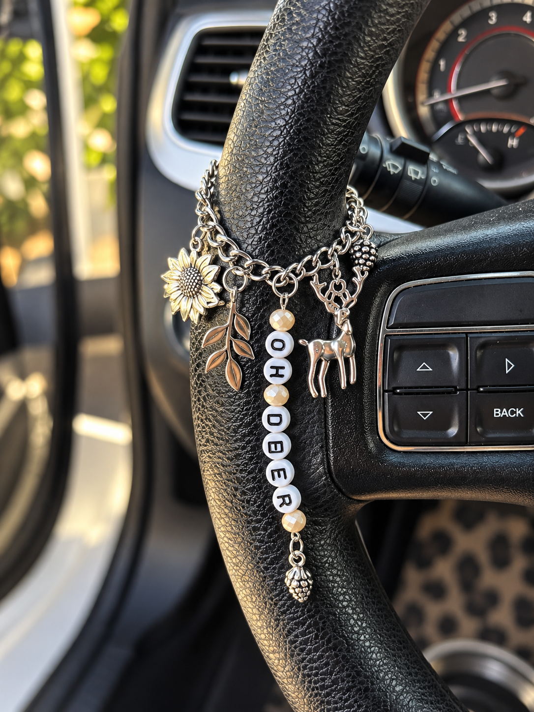 Oh Deer~Car Charm AKA Roadies