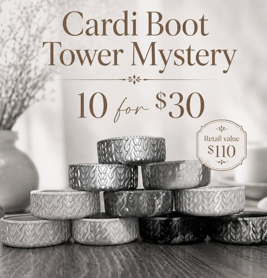 3” Cardi Boot Tower Mystery Set of 10