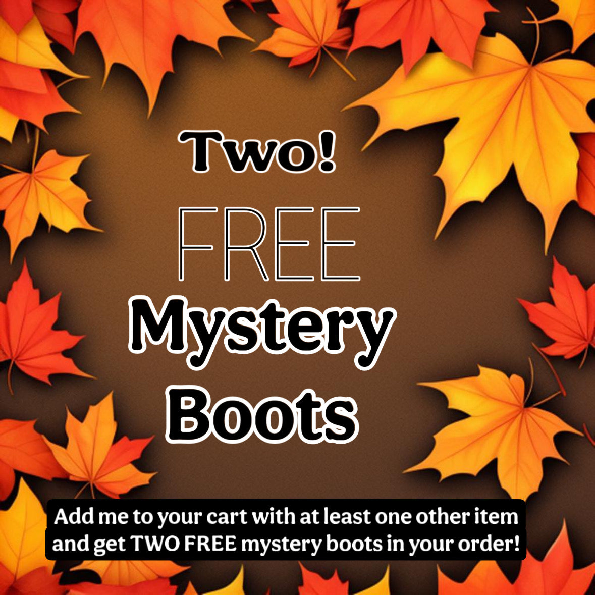 TWO-FREE-Mystery Boots! Add this to your cart with at least one other item and get two free mystery boots in your order!