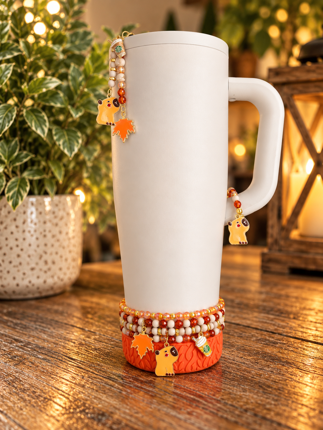 Cozy Capy Accessories