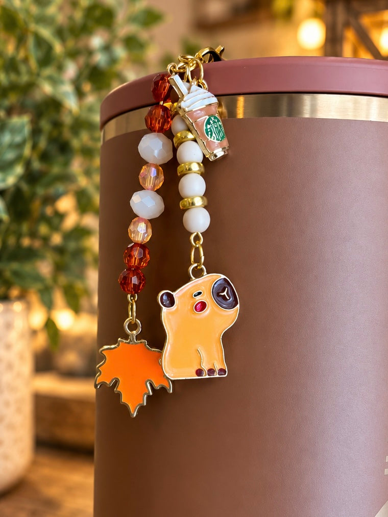 Cozy Capy Accessories